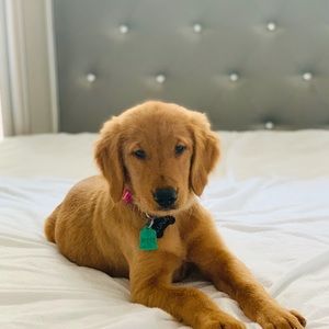 Meet your Posher, Melina